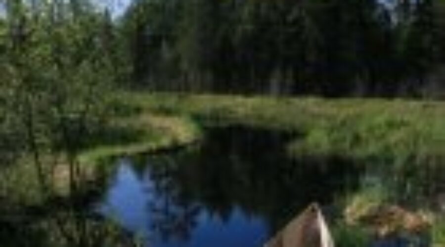 “Path Of The Paddle” Moving Forward