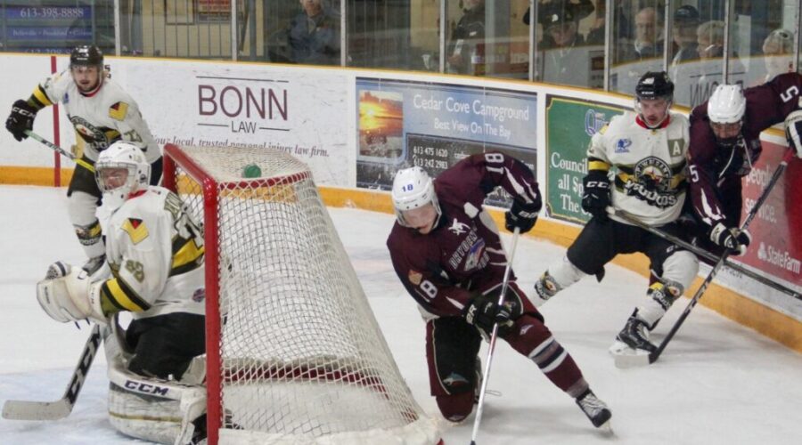 Missed Opportunity For Ice Dogs