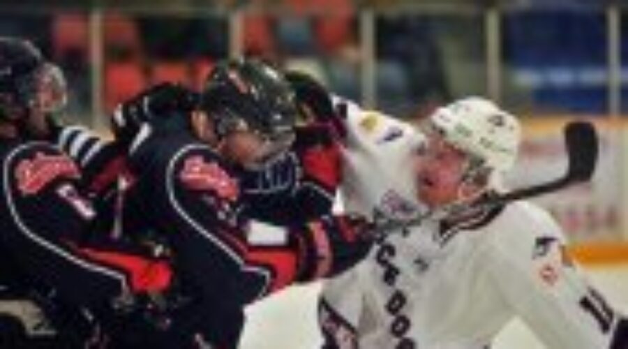 Dogs Win First Two Preseason Games