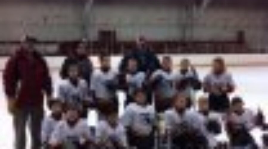 Dryden Chargers Win Novice Tournament