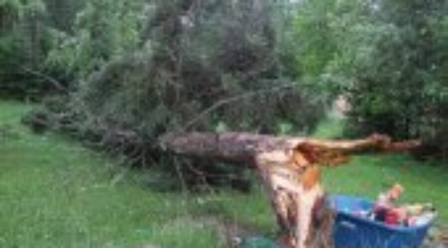 Major Storm Slams Dryden Area