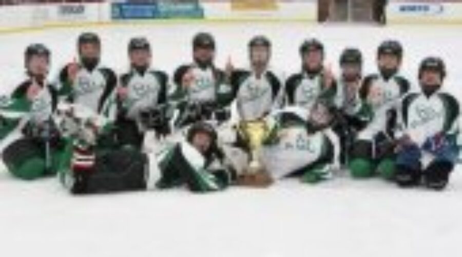 Gold for Dryden Girls Bantam Hockey Team