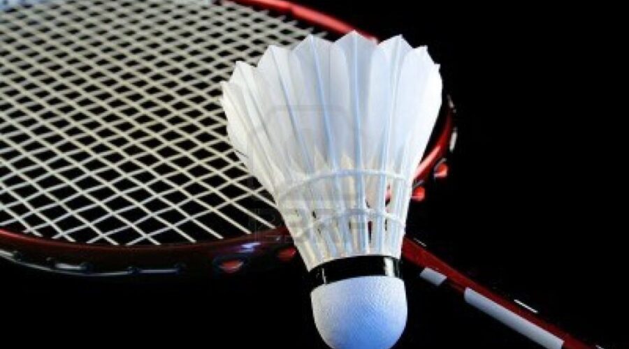 Badminton Qualifier At Dryden High School