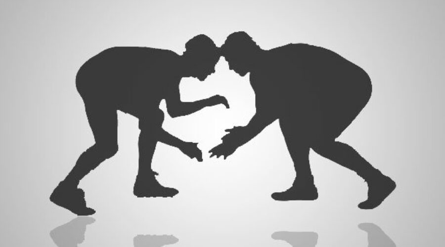 11 Medals For Dryden High School Wrestling Team