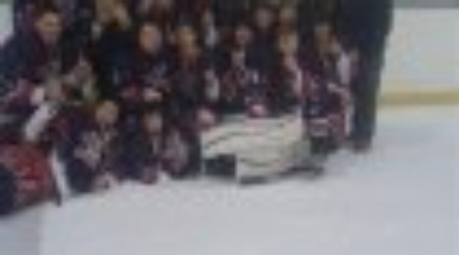 Bantam Paperkings Win Gold In Stonewall