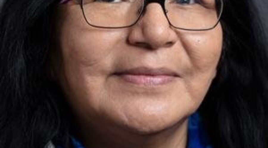 NAN Skewers Government Over Legal Tactics