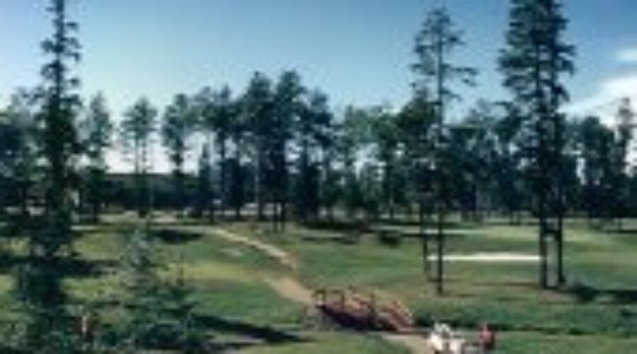 Eagles Dominate On Links In Atikokan