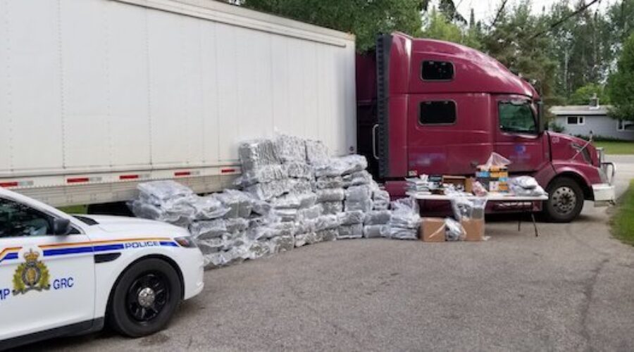 B34B06A6-8D52-4FE9-BD53-AEF6A989B76E Record Pot Seizure Near West Hawk Lake