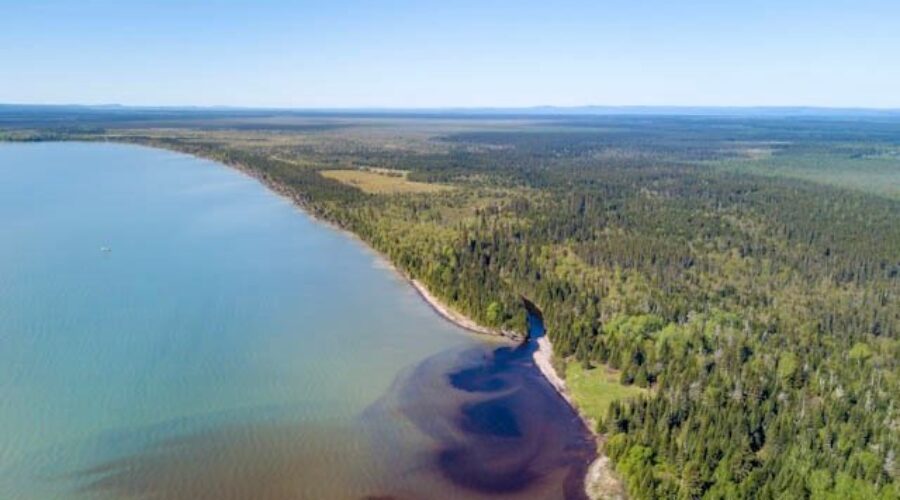 Black-Bay-photo-supplied-not-jfif Giant Chunk Of Black Bay Protected