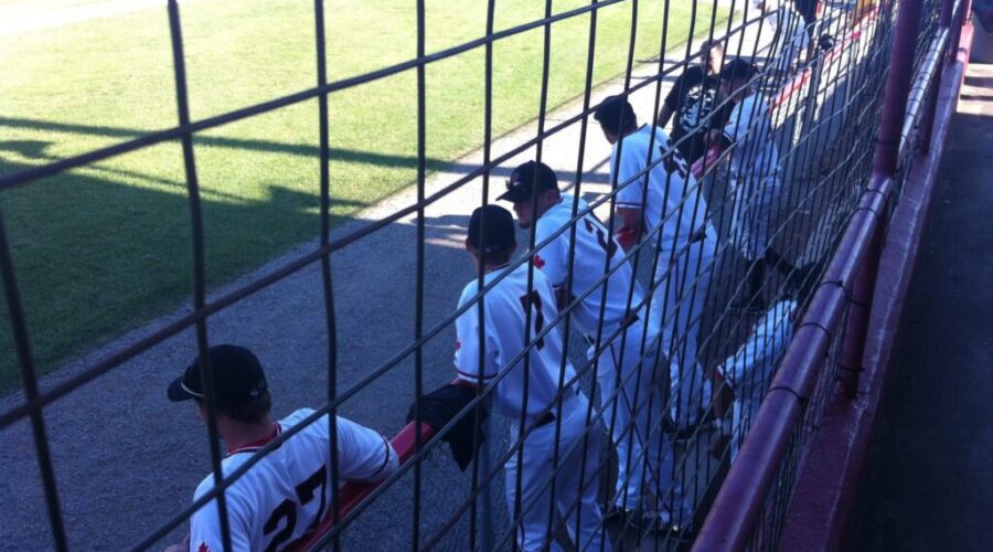 Border Cats To Teach Kids Baseball