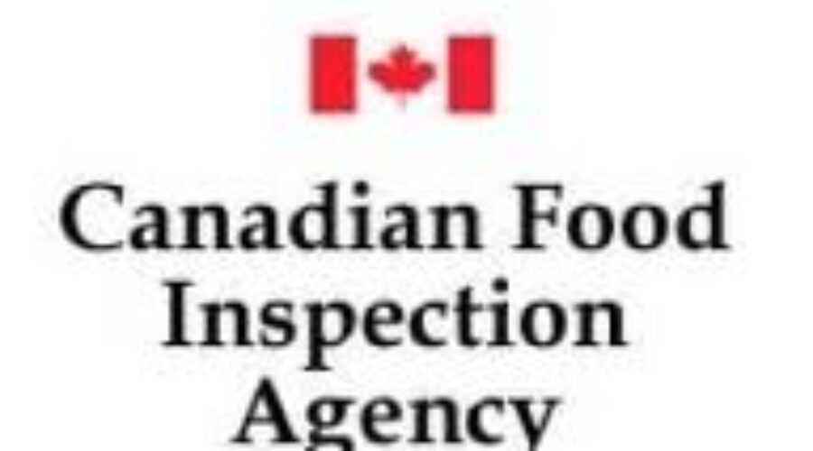 Onion Rings Recalled Over Possible Glass Contamination