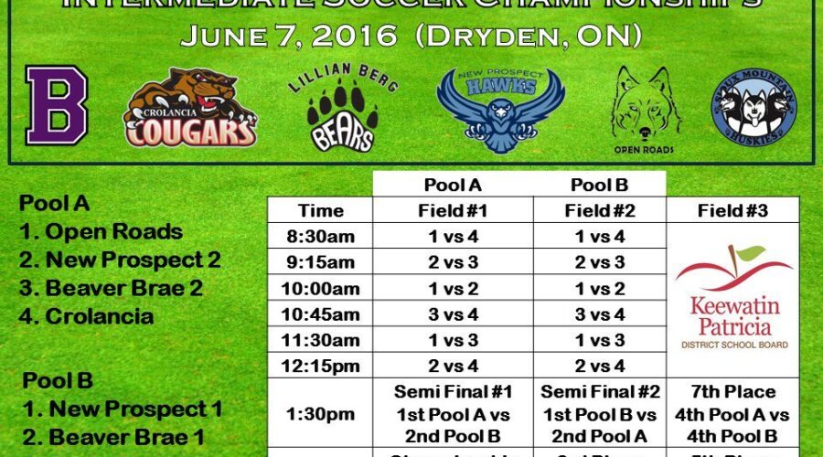 Elementary School Soccer Championship In Dryden Today
