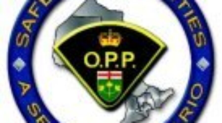 Six Teens Arrested in Crime Spree