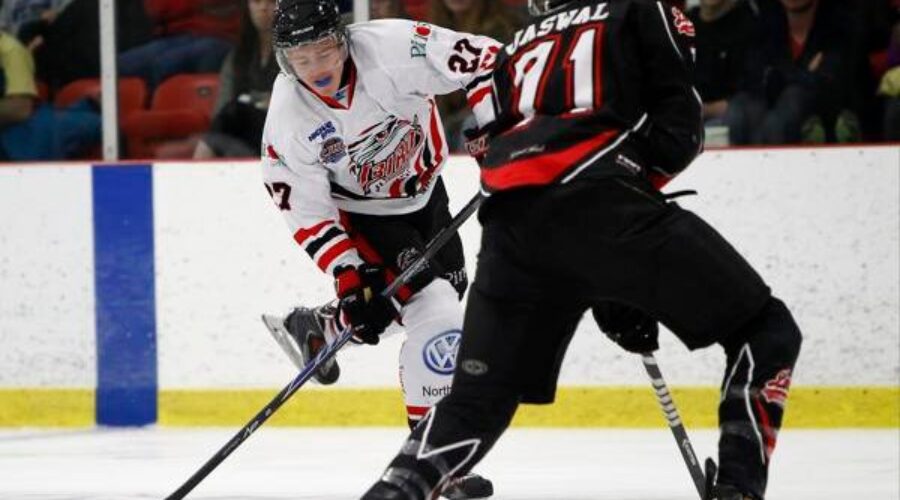 Ice Dogs Still Alive At Dudley