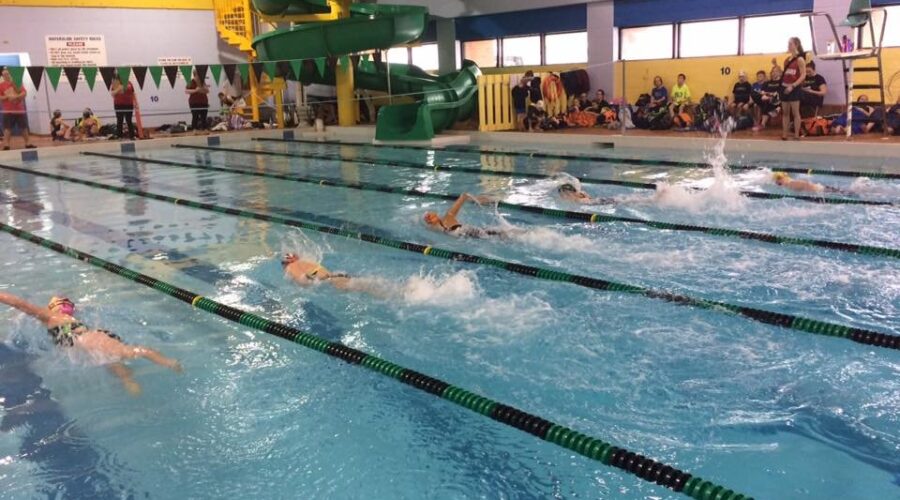 Three Dolphins Swimming In Winnipeg Meet