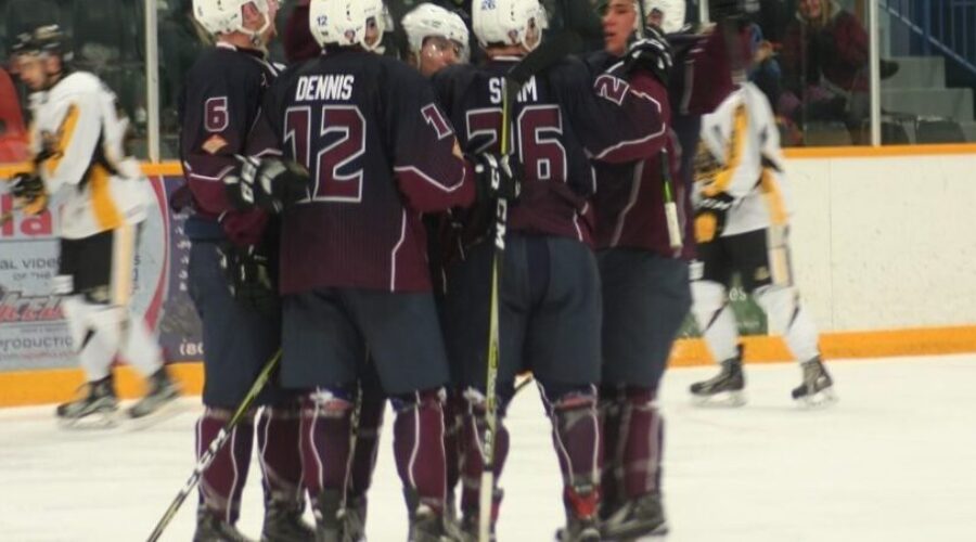 Big Third Period Results In Ice Dogs Win