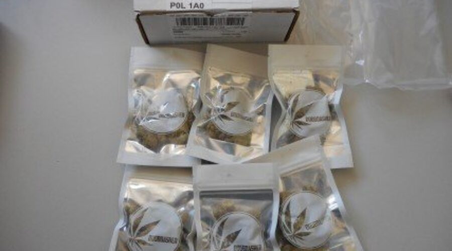 DSCN4156-Mobile Major Drug Seizure By Nishnawbe Aski Police Service
