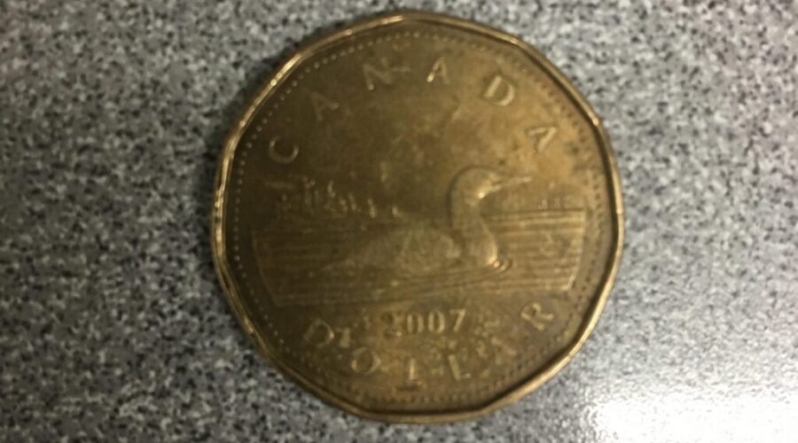 First Time Since 2015, Loonie Hits 80 Cents U.S