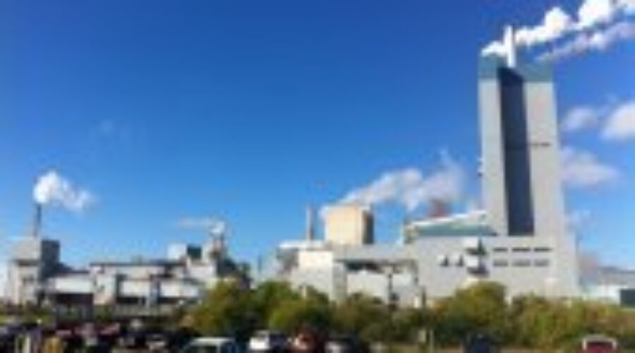 Domtar Hosts Community Picnic In Dryden