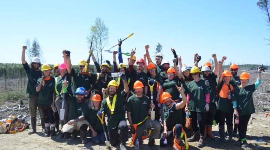 Domtar-Tree Planters Set World Record