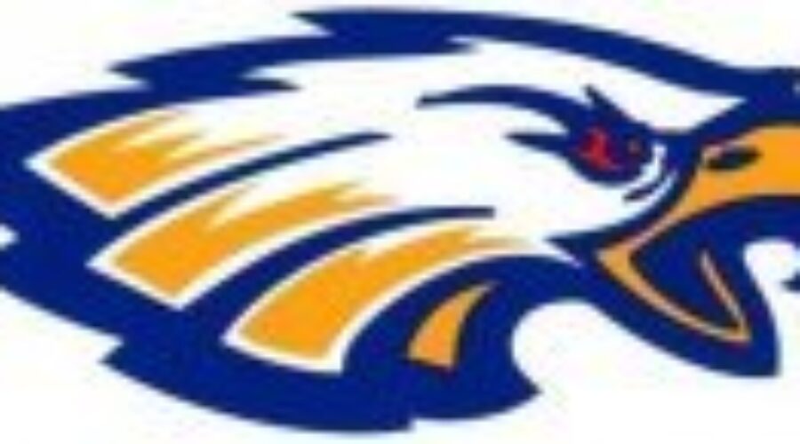 Dryden Eagles In Brampton Over The Weekend