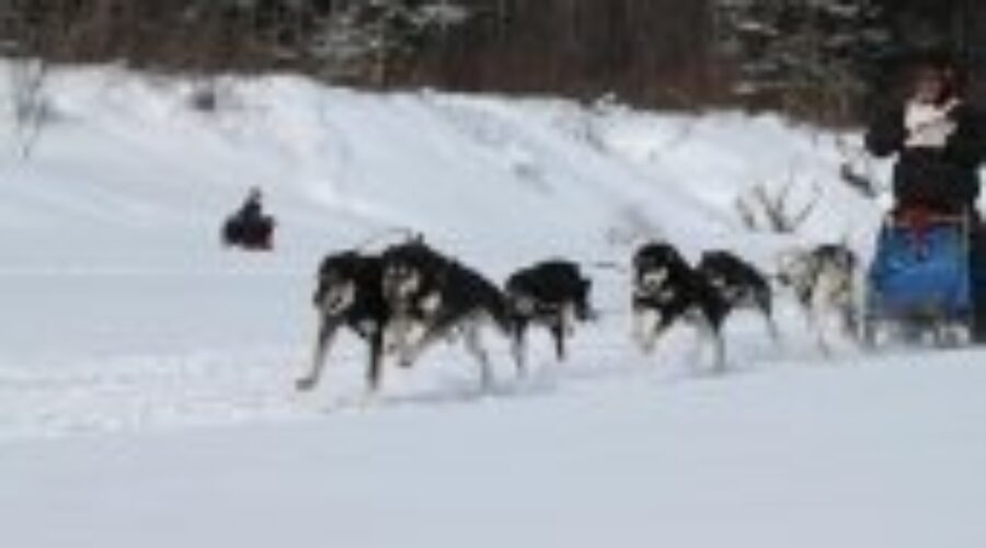 EtonRugby2011Fred Clayton Schneider Performs Well at Dog Sled Race