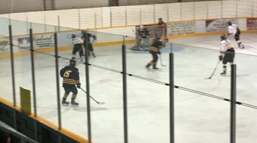 Eagles Struggle Early In 5-2 Loss