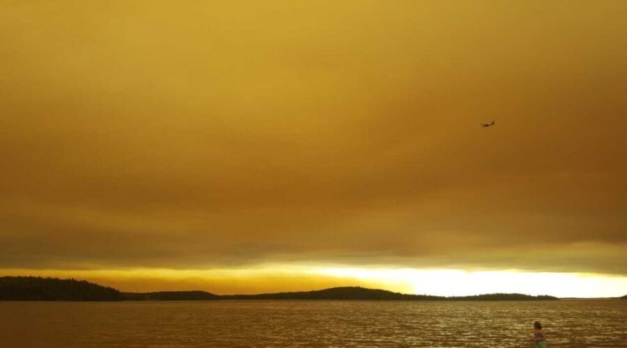 Six Forest Fires Over The Weekend