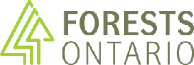 50 Million Trees Program In Northwestern Ontario