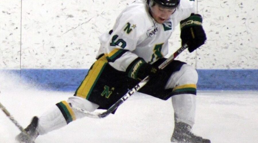 North Stars Close The Gap On Ice Dogs