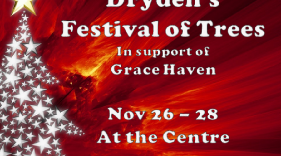 Festival Of Trees In Dryden