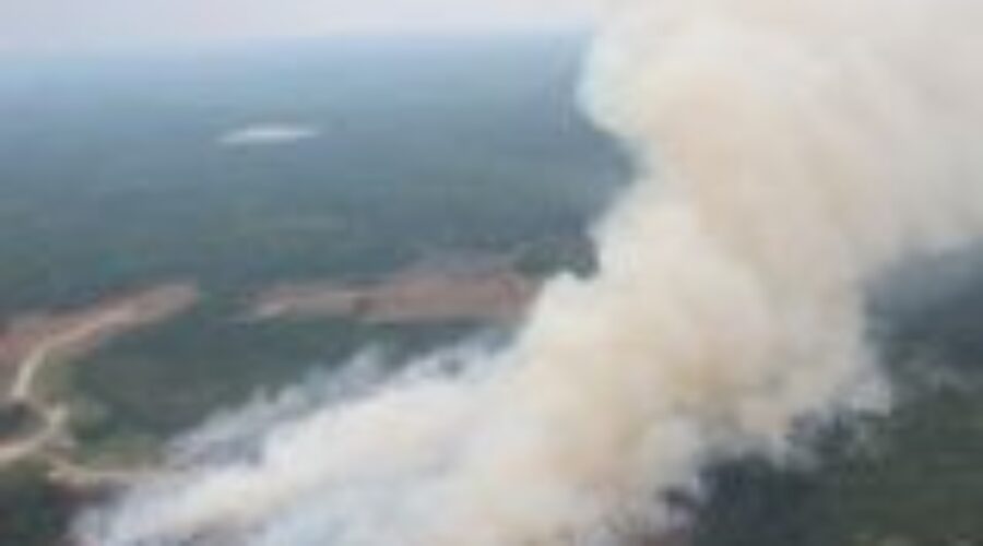 Quiet Weekend; Fire Hazard Expected To Rise