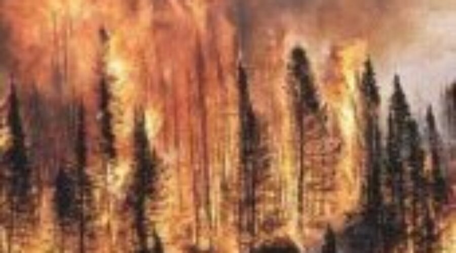 ForestFire2 More Local Help For Western Canada