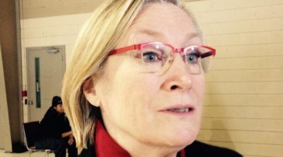 Aboriginal Affairs Critic In T.Bay