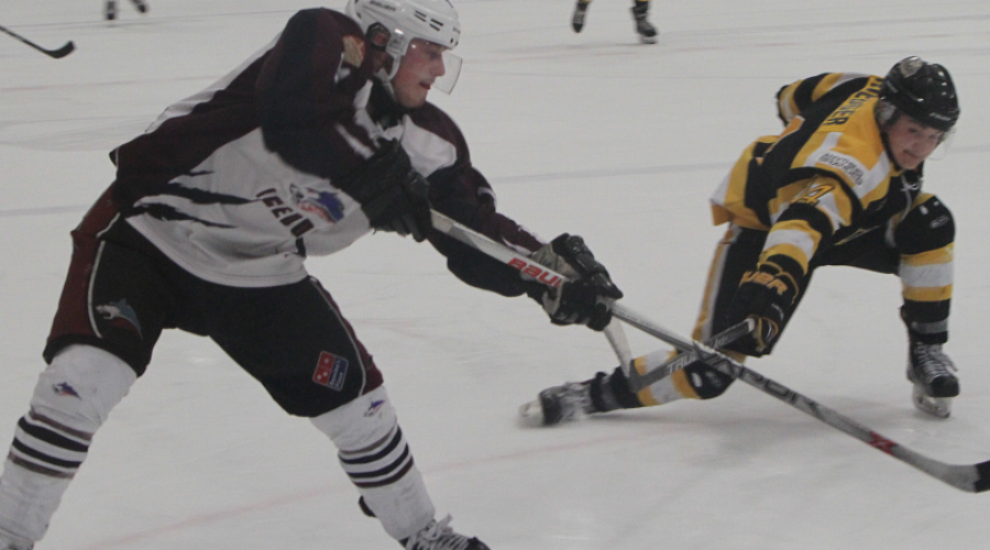 Second Period Explosion Results In Ice Dogs 3-1 Win