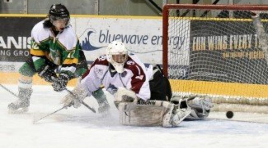 GamePhotos-Jan_23-IceDogsatNorthStars-GaryMoskalyk-325x244 Big Win For Ice Dogs