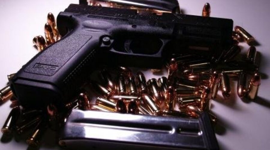 Gun Amnesty Planned – and Coming to Dryden