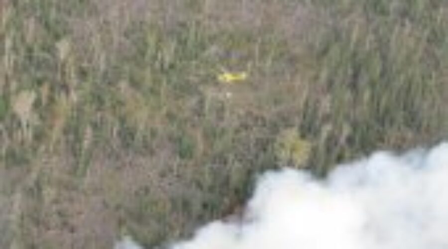 Horse-PB-179 Prescribed Burn Deemed “Complete”