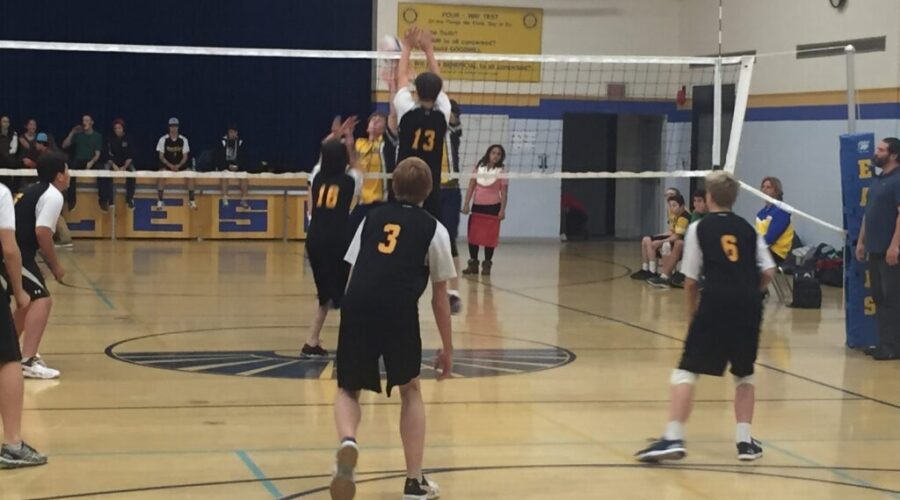 Blue And Gold Can’t Solve Muskies
