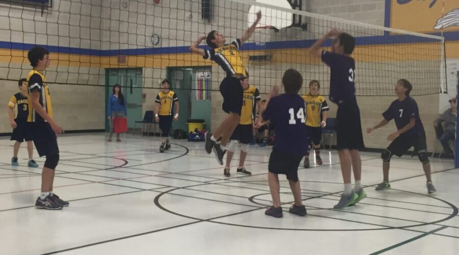 Eagles Volleyball Teams Lose; Basketball Teams Post Wins