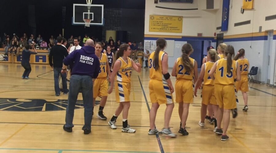 IMG_2253 DHS Senior Girls Advance To Championship Game
