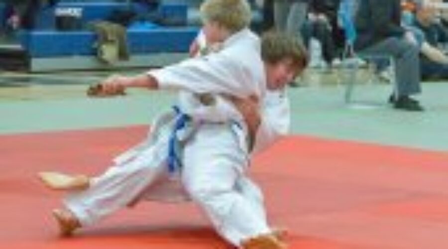 Medal Haul For Dryden Judo Team