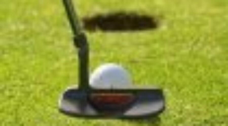 Great Day On The Links For Dryden Golfers