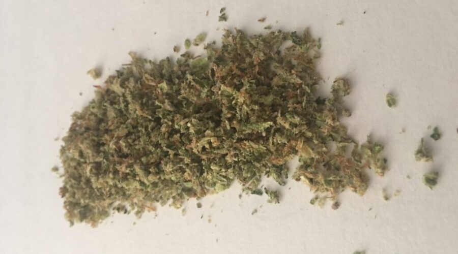 Vets Unleashed: We’ve Been Really ‘Left Out Of This Debate And Discussion’ On Legalized Pot