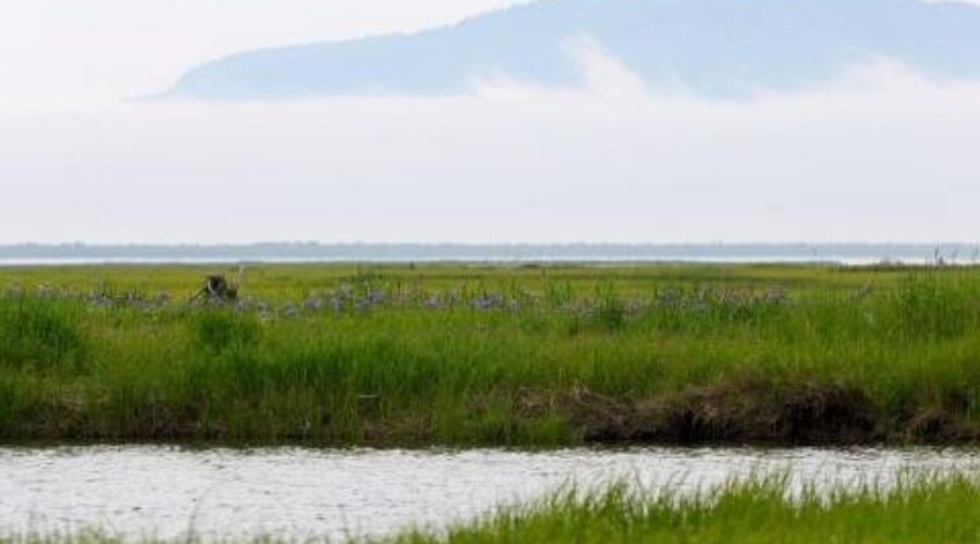 Climate Change Report Gets Thumbs Up From Nature Conservancy Of Canada