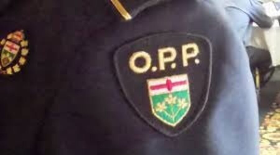 Distracted Driving Too Common In Ontario