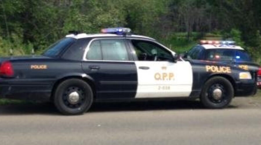 40 Cattle Perish In Single Vehicle Crash