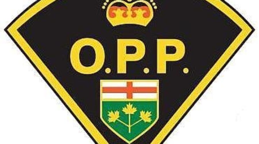 OPP_13 Arrest Made In North Caribou Lake Incident