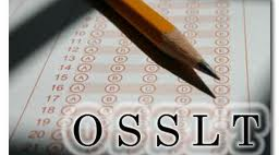 Public Board Lags Behind Province In Literacy Results