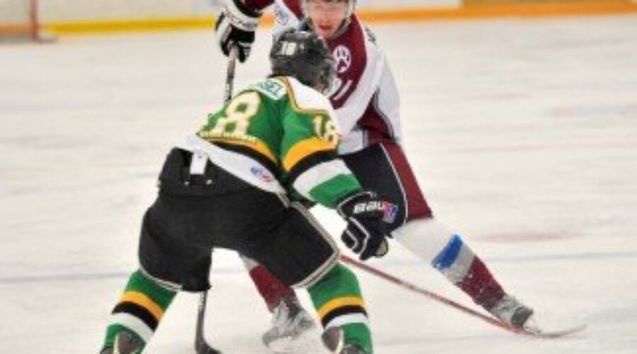 Ice Dogs Take Game 2 In Weekend Series
